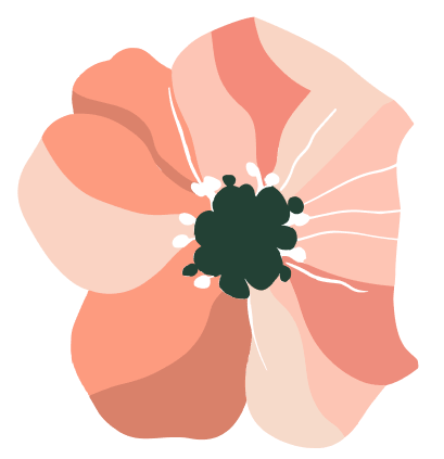 Ilustração de uma flor aberta vista de frente, com pétalas em tons de salmão e rosa-claro e miolo verde-escuro rodeado de estames brancos.