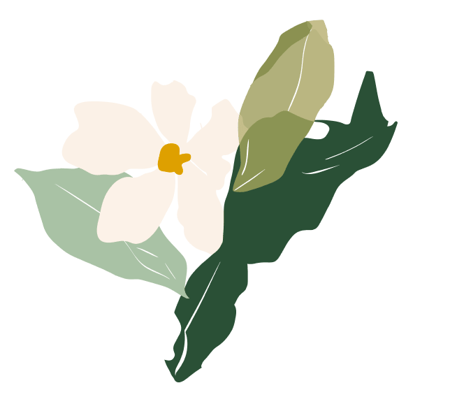 Ilustração de um ramo com uma flor branca de miolo amarelo e três folhas em tons de verde, do verde-claro ao verde-escuro.
